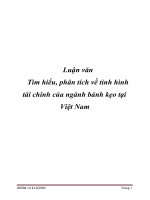 Luận văn Tìm hiểu, phân tích về tình hình tài chính của ngành bánh kẹo tại Việt Nam docx