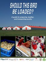 A guide for preparing, loading , and transporting poultry pdf