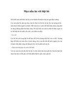 Mẹo nấu ăn với thịt bò docx