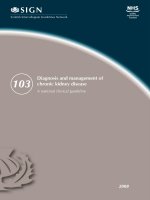 Diagnosis and management of chronic kidney disease docx