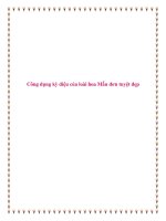 Công dụng kỳ diệu của loài hoa Mẫu đơn tuyệt đẹp pot