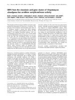 Báo cáo Y học: ORF6 from the clavulanic acid gene cluster of Streptomyces clavuligerus has ornithine acetyltransferase activity potx