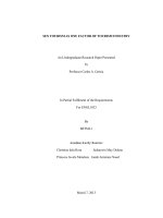 SEX TOURISM AS ONE FACTOR OF TOURISM INDUSTRY