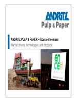 ANDRITZ PULP & PAPER – focus on biomass Market drivers, technologies, and products pptx
