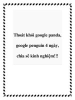 Thoát khỏi google panda, google penguin 4 ngày, chia sẽ kinh nghiệm!!! potx