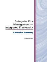 Enterprise Risk Management — Integrated Framework docx