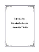 TIỂU LUẬN: Báo cáo tổng hợp tại công ty bia Việt Hà pot