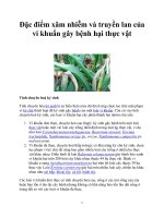 Đặc điểm xâm nhiễm và truyền lan của vi khuẩn gây bệnh hại thực vật ppt