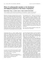Báo cáo khoa học: Effects of cardiomyopathic mutations on the biochemical and biophysical properties of the human a-tropomyosin docx