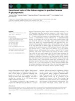 Báo cáo khoa học: Functional role of the linker region in puriﬁed human P-glycoprotein pot