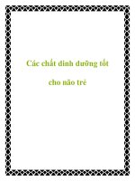 Các chất dinh dưỡng tốt cho não trẻ docx