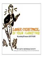 LOSE CONTROL OF YOUR MARKETING! Why marketing ROI measures LEAD TO FAILURE pot
