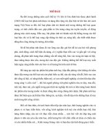 Tiểu luận môn bài phản ánh potx