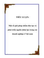TIỂU LUẬN: Một số giải pháp nhằm đào tạo và phát triển nguồn nhân lực trong các doanh nghiệp ở Việt nam pptx