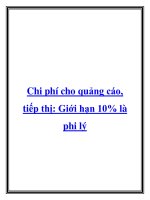 Chi phí cho quảng cáo, tiếp thị: Giới hạn 10% là phi lý pdf