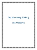 Bịt kín những lỗ hổng của Windows docx