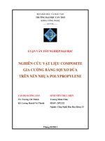 nghiên cứu vật liệu composite gia cường bằng sợi xơ dừa trên nền nhựa polypropylene
