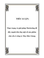 TIỂU LUẬN: Thực trạng và giải pháp Marketing để đẩy mạnh tiêu thụ một số sản phẩm chủ yếu ở công ty May Đức Giang potx