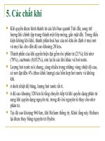 Các chất khí doc