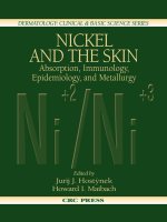 NICKEL AND THE SKIN Absorption, Immunology, Epidemiology, and Metallurgy pptx