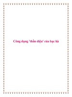 Công dụng ''''thần diệu'''' của bạc hà doc