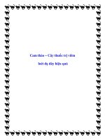 Cam thảo – Cây thuốc trị viêm loét dạ dày hiệu quả pptx