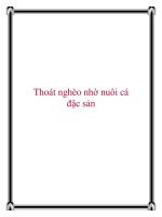 Thoát nghèo nhờ nuôi cá đặc sản doc
