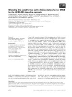 Báo cáo khoa học: Silencing the constitutive active transcription factor CREB by the LKB1-SIK signaling cascade pot