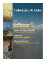 The Globalization of Air Pollution pdf