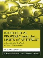Intellectual Property and the Limits of Antitrust potx