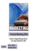 Practical Marketing SkillsSeminar for Egyptair Managers Abroad Cairo, Egypt, September 22, 2005 docx