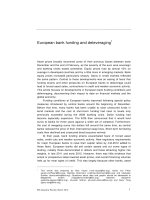 European bank funding and deleveraging pptx