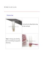 Kỹ thuật vẽ cọ nét và cọ râu - 7 Sắc cầu vồng ppt