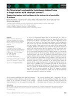 Báo cáo khoa học: Do N-terminal nucleophile hydrolases indeed have a single amino acid catalytic center? Supporting amino acid residues at the active site of penicillin G acylase pptx
