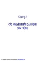 NẤM GÂY BỆNH CÔN TRÙNG pptx