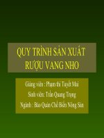 QUY TRÌNH SẢN XUẤT RƯỢU VANG NHO pdf