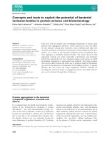 Báo cáo khoa học: Concepts and tools to exploit the potential of bacterial inclusion bodies in protein science and biotechnology pdf