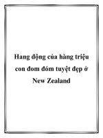 Hang động của hàng triệu con đom đóm tuyệt đẹp ở New Zealand.Đến New Zealand, du khách gần xa không thể bỏ qua điểm du lịch hang động đom đóm Waitomo lung linh với hàng triệu con đom đóm phát quang tỏa ánh sáng tuyệt đẹp pdf