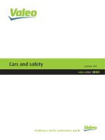 Cars and safety 2008 pot