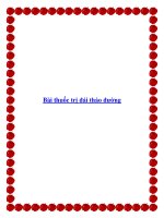 Bài thuốc trị đái tháo đường docx