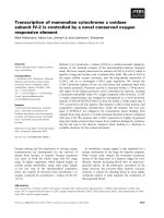 Báo cáo khoa học: Transcription of mammalian cytochrome c oxidase subunit IV-2 is controlled by a novel conserved oxygen responsive element pptx
