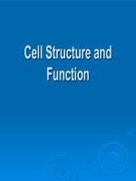 Cell Structure and Function Functi 