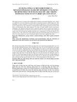 SỬ DỤNG CÔNG CỤ METAFRONTIER VÀ METATECHNOLOGY RATIO ĐỂ MỞ RỘNG ỨNG DỤNG MÔ HÌNH PHÂN TÍCH MÀNG BAO DỮ LIỆU TRONG ĐÁNH GIÁ NĂNG SUẤT VÀ HIỆU QUẢ SẢN XUẤT doc