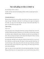 Sản xuất giống cá trắm cỏ chính vụ potx