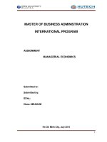 Managerial economics assignment   MBA