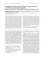 Báo cáo khoa học: Colocalization of insulin receptor and insulin receptor substrate-1 to caveolae in primary human adipocytes Cholesterol depletion blocks insulin signalling for metabolic and mitogenic control doc