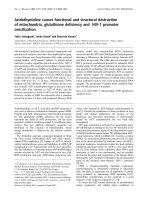 Báo cáo Y học: Azidothymidine causes functional and structural destruction of mitochondria, glutathione deﬁciency and HIV-1 promoter sensitization pptx