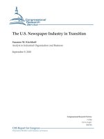 The U.S. Newspaper Industry in Transition docx