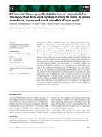 Báo cáo khoa học: Differential tissue-speciﬁc distribution of transcripts for the duplicated fatty acid-binding protein 10 (fabp10) genes in embryos, larvae and adult zebraﬁsh (Danio rerio) docx
