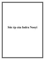 Sức ép của Indra Nooyi pot